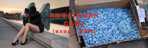 шишки Горняк