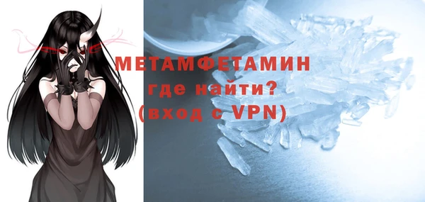 шишки Горняк