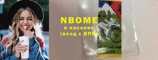 шишки Горняк