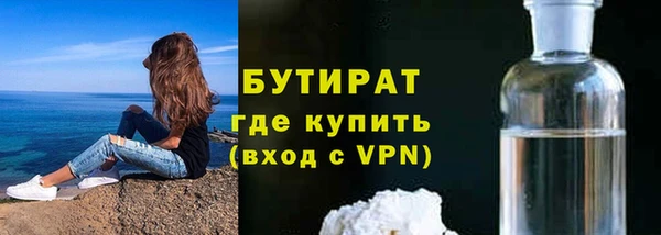 шишки Горняк