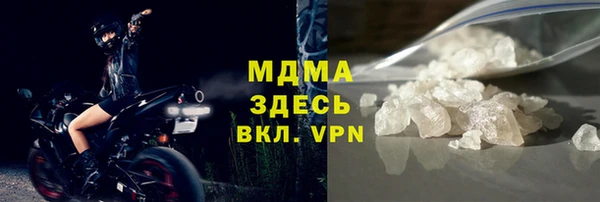 шишки Горняк