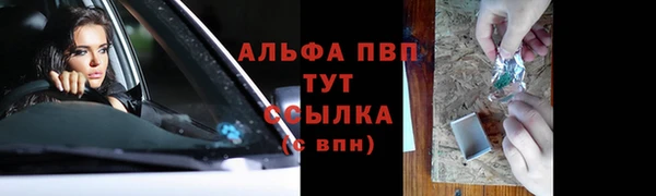 хмурый Горно-Алтайск