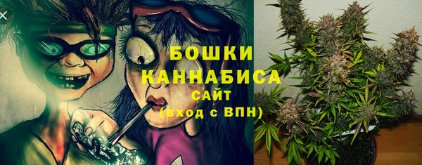шишки Горняк