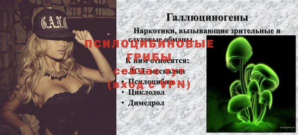 амфетамин Горнозаводск