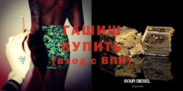 шишки Горняк