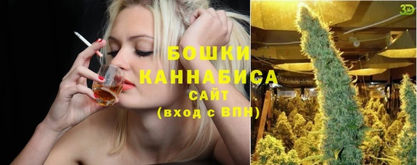 шишки Горняк