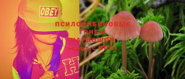 хмурый Горно-Алтайск