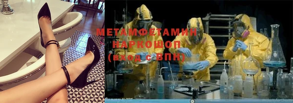 шишки Горняк