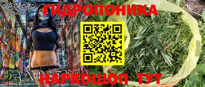 apvp Краснодар