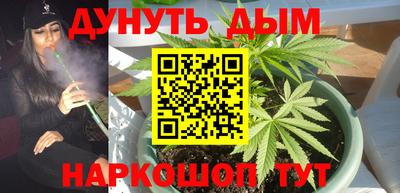 шишки Краснокаменск