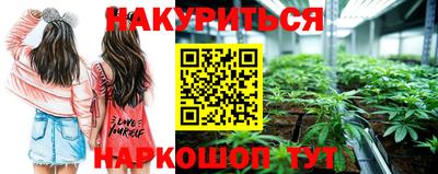 apvp Краснодар