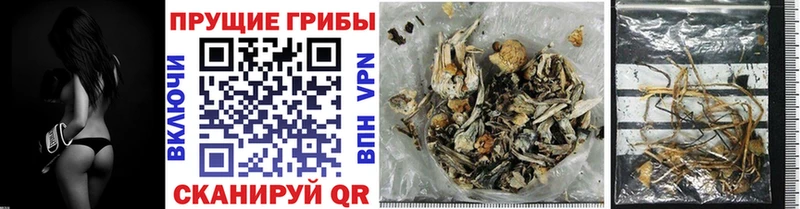 Псилоцибиновые грибы Psilocybine cubensis  KRAKEN маркетплейс  Ейск 