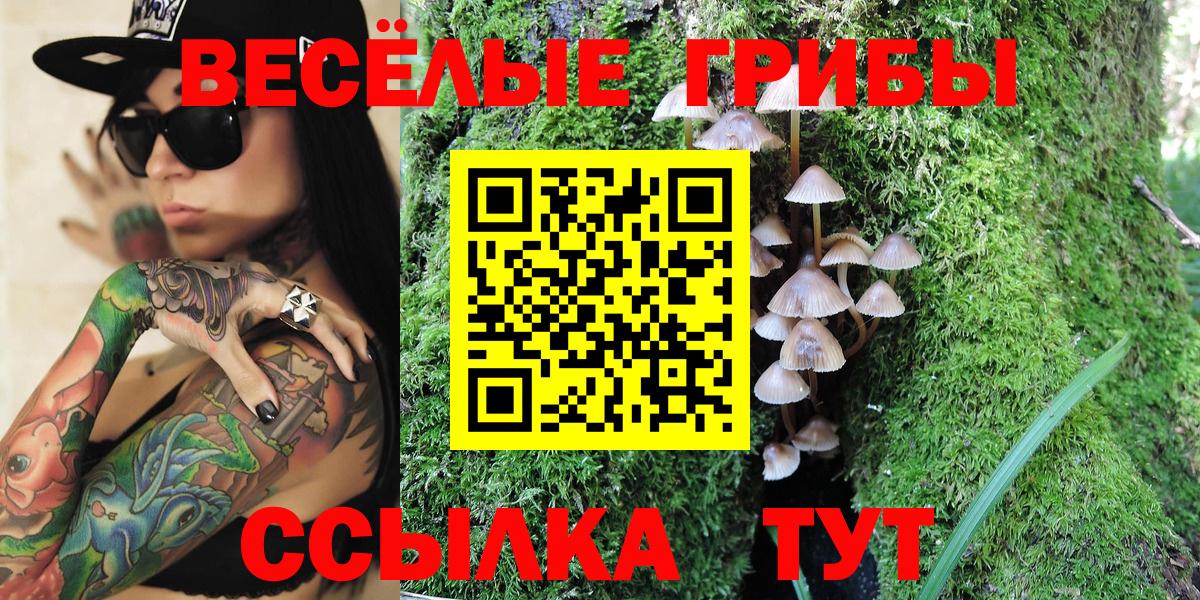 Ейск  Псилоцибиновые грибы Cubensis  Вход с VPN  Псилоцибиновые грибы MAGIC MUSHROOMS 
